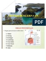 Jepretan Layar 2022-08-26 Pada 13.47.52