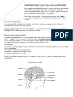 Anatomie Cerveau Moelle LCR