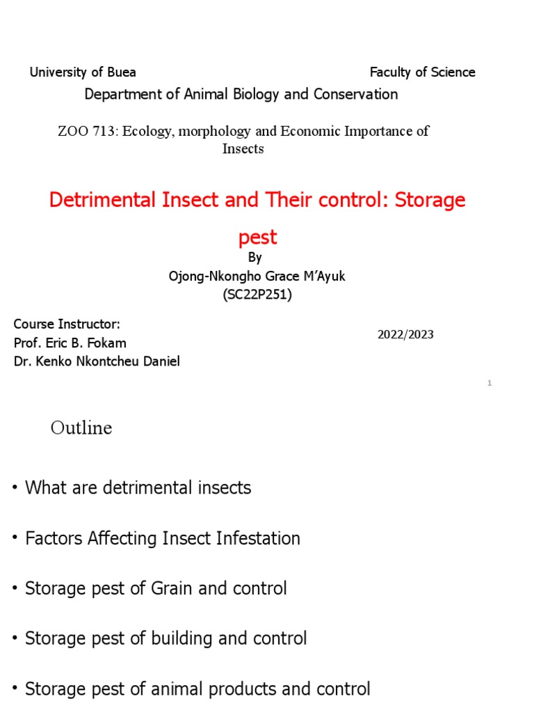 Detrimental Insects Grace | PDF | Pest (Organism) | Insects