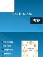 Chu Kì Tế Bào Và Phân Bào