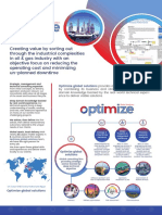 Optimize Global Solutions Flyer