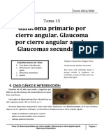 Tema 15. Glaucoma Por Cierre Angular y Glaucomas Secundarios - Andrea Torrecilla