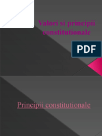 Prezentare Constitutie