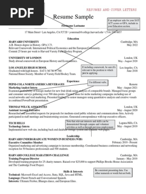 Template Harvard Resume Dan Cover Letter