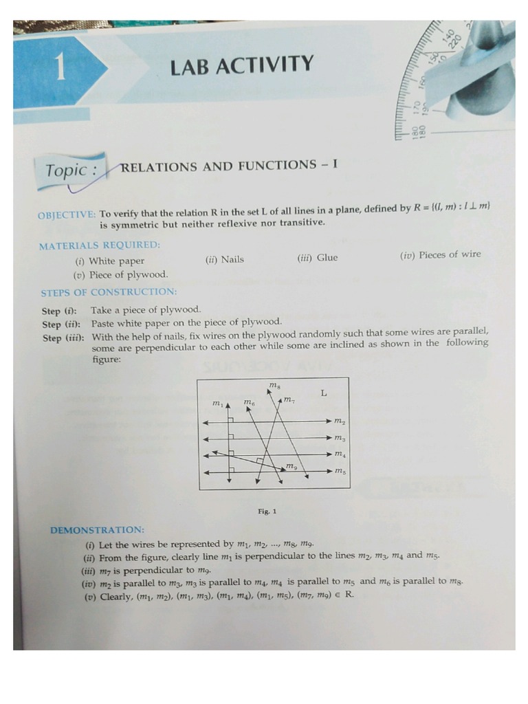 Lab Activities of Class XII PDF