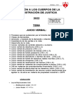 Tema Juicio Verbal 2022 28-Julio