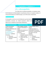 2ºbachillerato, Tema 7 (Orgánulos Celulares I)