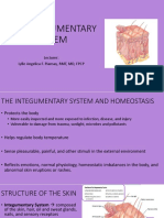 4.2 - The Integumentary System