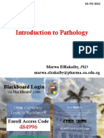 Pathology MD406 2022
