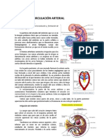 Tema14 Circulación Arterial - Embrio