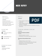 Modern Profesional Resume