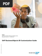 SAP BusinessObjects BI Customization Guide