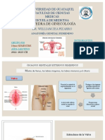 Aparato Reproductor Femenino - Subgrupo 1 - Grupo 10