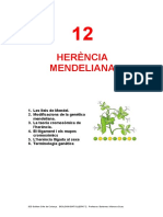 T12 Herencia Mendeliana