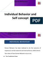 6 Individual Behaviour Self Concept
