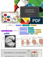 APARATO FARINGEO MODULO II Semana 10