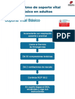 Algoritmos SVB Adultos ERC 2021 V1