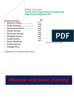 Mineral and Bone Statining