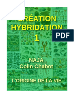 Colin Chabot - Création Hybridation