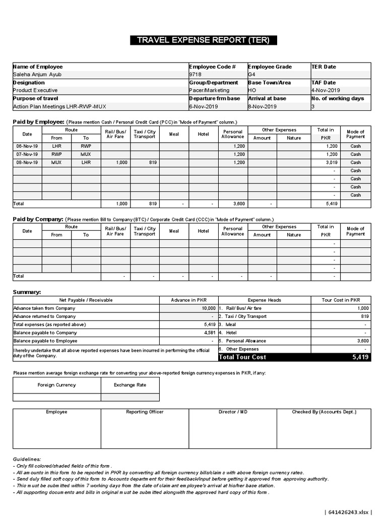 Fuel Plus Daily PDF Expense Fare