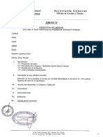 3.anexo IV - Estructura Del Informe