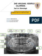 Imageniologia - Perez Gonzales