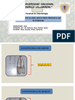 Tarea e - Coia-Endo-Perez