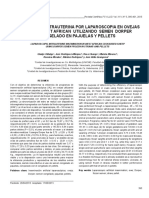 Inseminación Intrauterina Por Laparoscopia en Ovejas Mestizas West African Utilizando Semen Dorper Congelado en Pajuelas Y Pellets