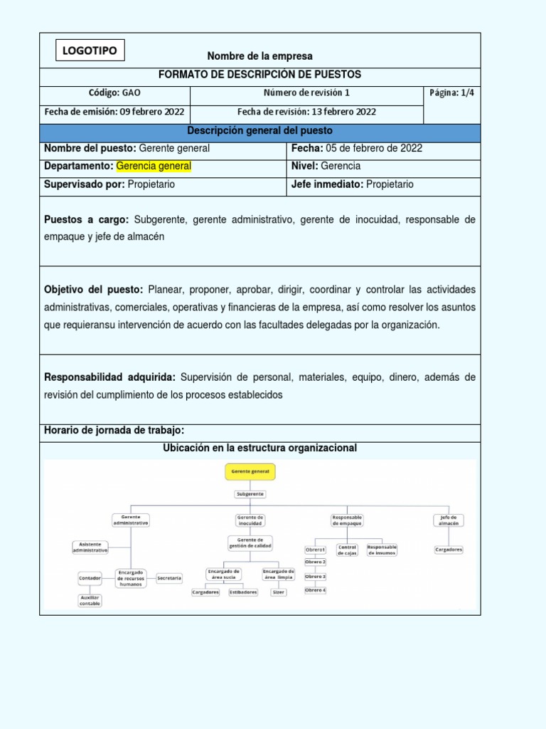 Descripción de Puestos | PDF | Business