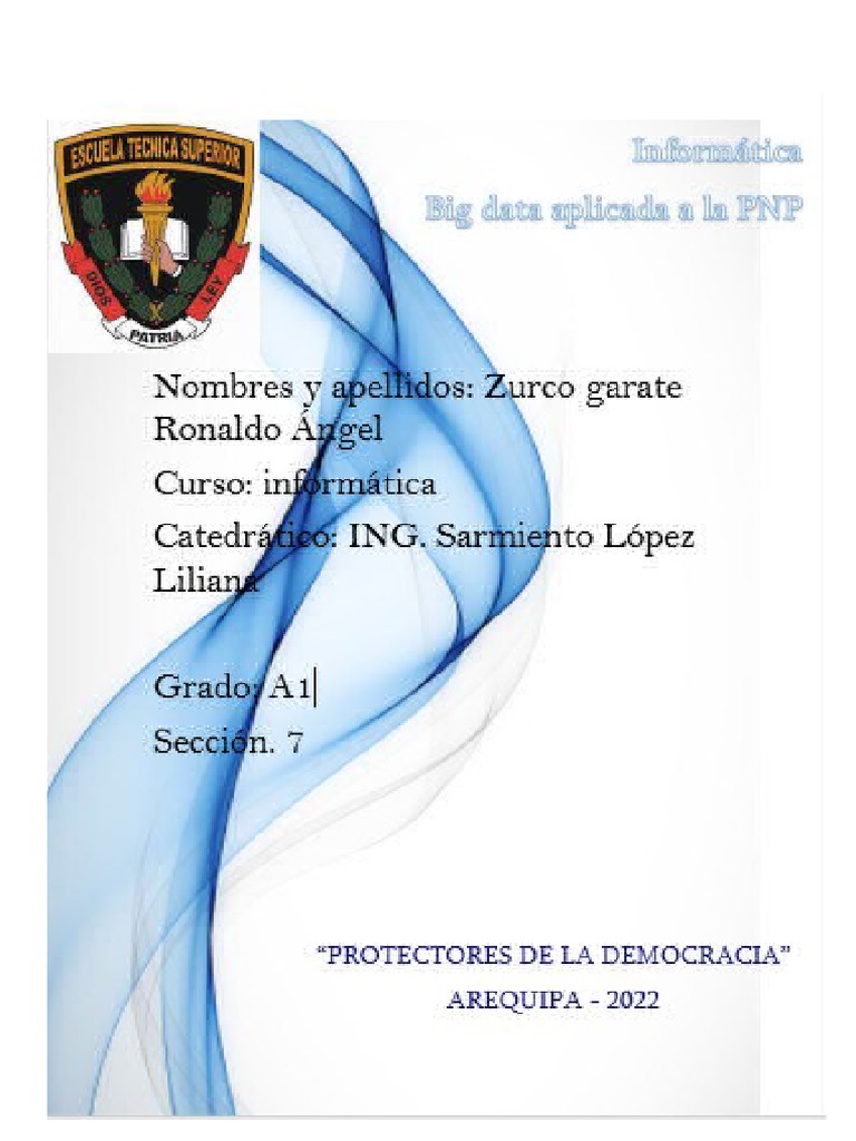 Big Data en la PNP: Innovación y Calidad | PDF | Big Data | Lenguaje de ...