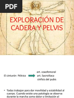 Exploracion Pelvis y Cadera