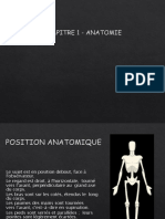 Chapitre 1 Anatomie