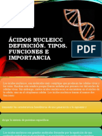 Ácidos Nucleicos. Definición. Tipos. Funciones e Importancia