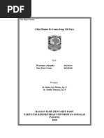 Download Efusi Pleura by PratamaAnanda SN62249875 doc pdf