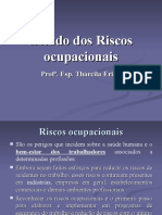 NR 01 Estudo Dos Riscos Ocupacionais