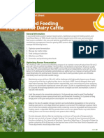 Pasture Based Feeding Programs Dairy Cattle