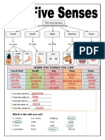 The Five Senses