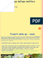 Api Le Produzioni