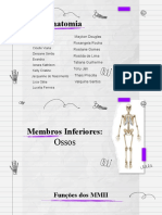 Anatomia - Ossos Do Membro Inferiores