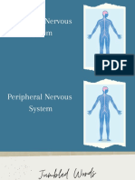 Peripheral Nervous System