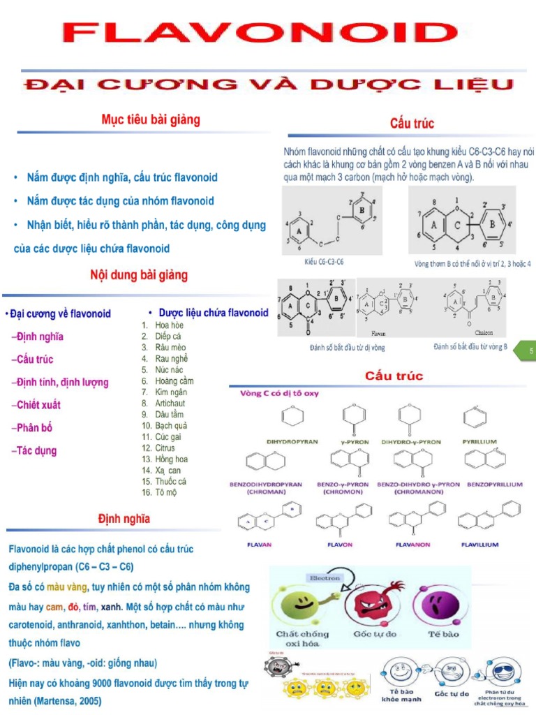 Flavonoid | PDF