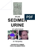 Atlas Sedimen Urine