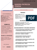 212 Curriculum Vitae Diseno CV Gratis