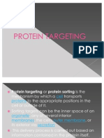 Protein Targeting.