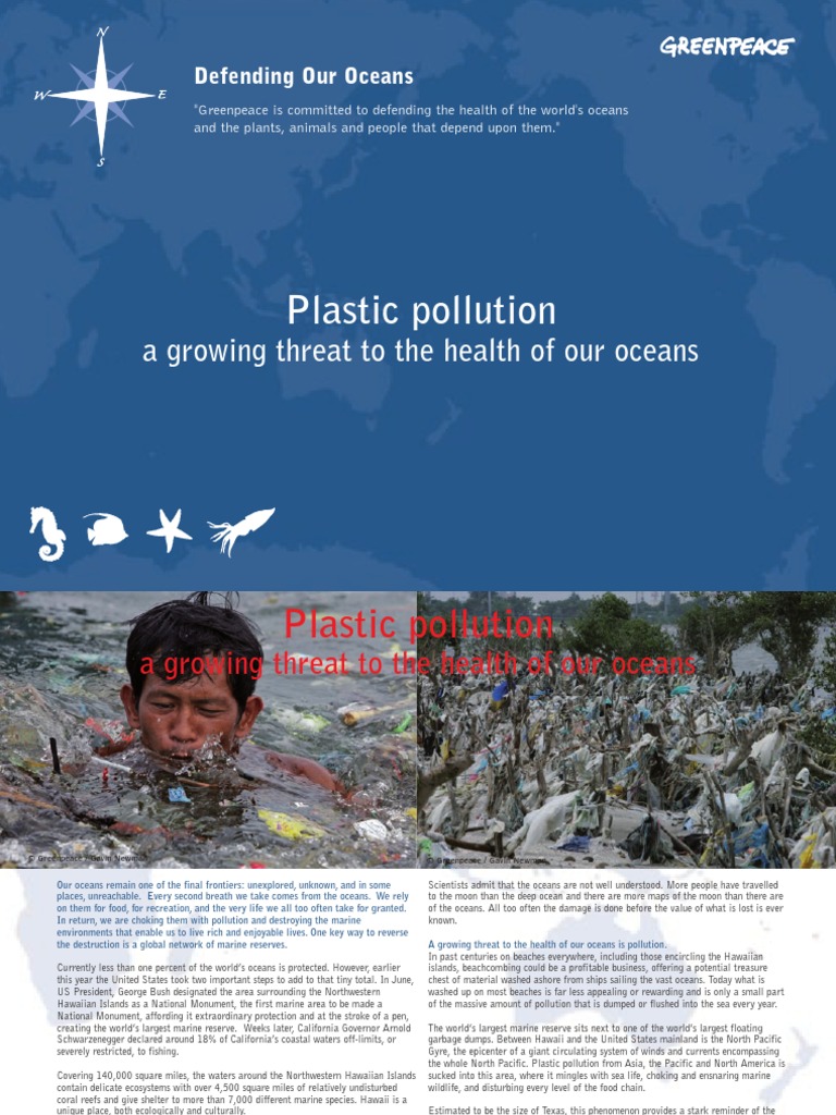 Plastic Pollution | PDF