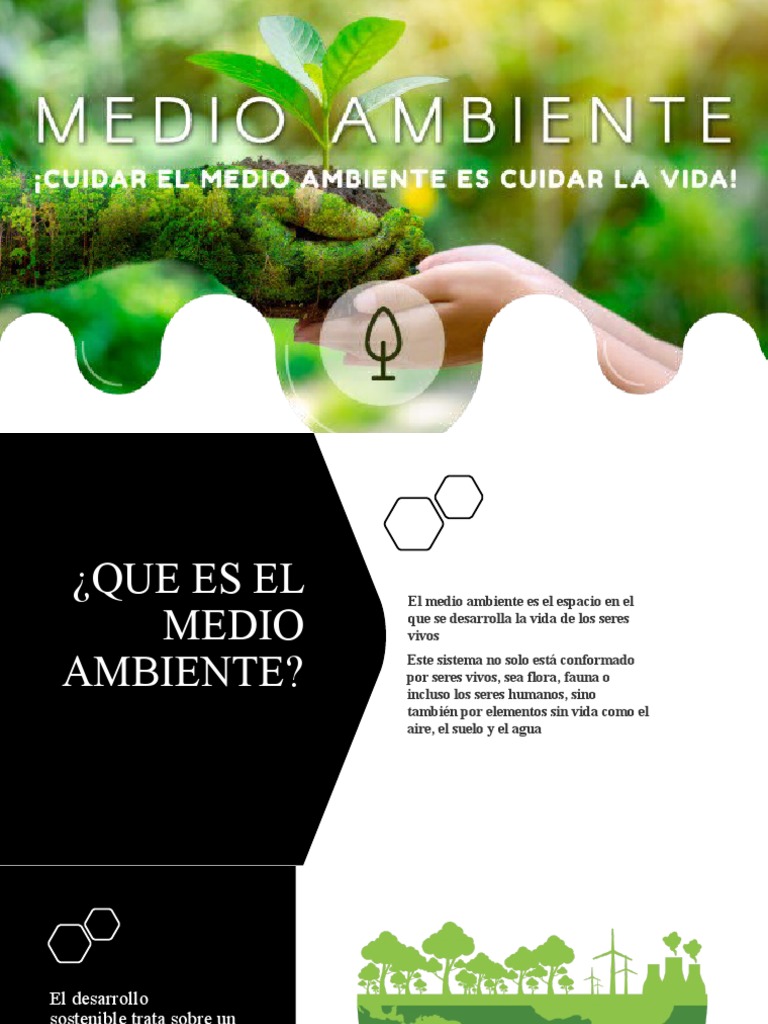 El Medio Ambiente | PDF
