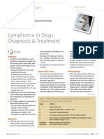 Lymphoma in Dogs PDF
