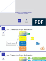 tgnOmNpSEemgqgoxEn8lOg - Los Diferentes Flujos de Fondos