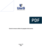 Ensaio de Determinação Da Massa Unitaria Áreia MAYARA