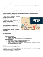 Ingeniería Genética en Procariotas y Análisis Estructural